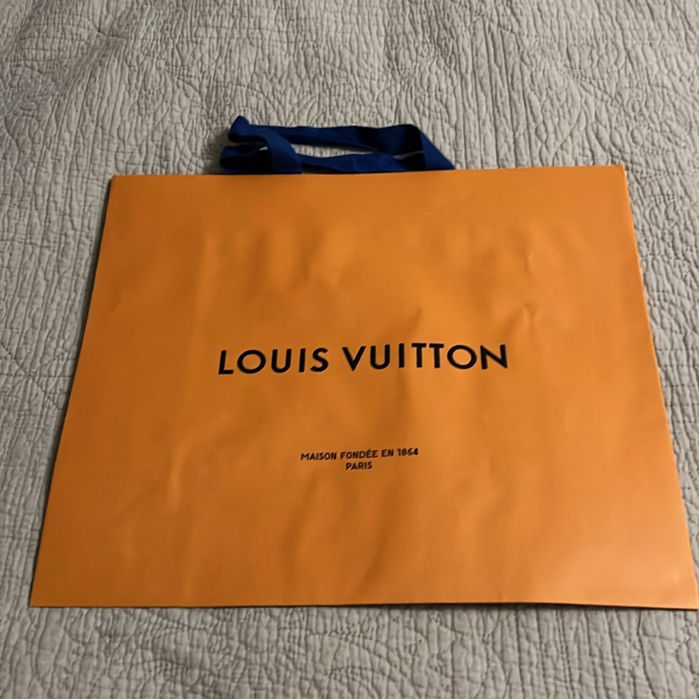 Louis Vuitton Palm Springs MM backpack - Picture 3 of 9